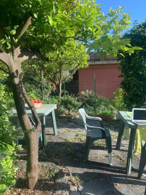 Cozy Beach House With Nice Garden, Basic Feel Apartment Bonassola Exterior photo